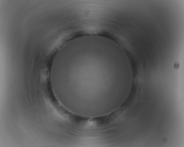 X0000113230647200909171540