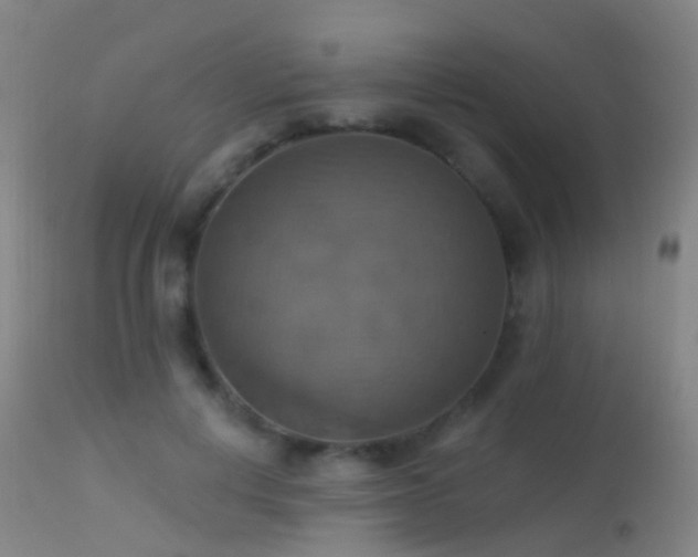 X0000113230648200909171540