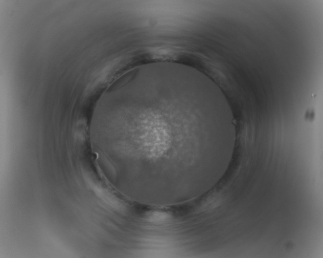 X0000113230649200909171540