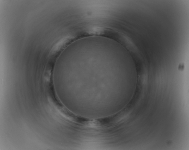 X0000113230652200909171540