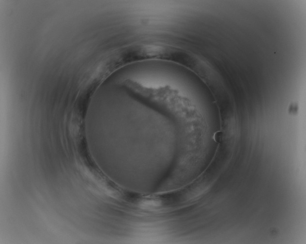 X0000113230653200909171540