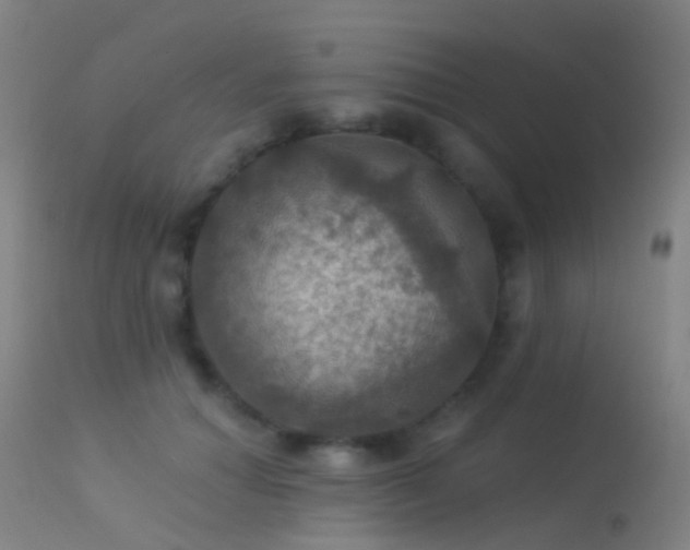 X0000113230654200909171540