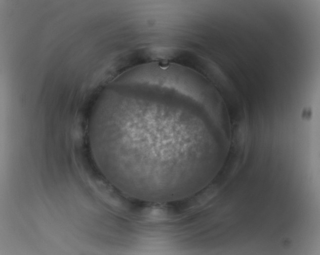 X0000113230655200909171540