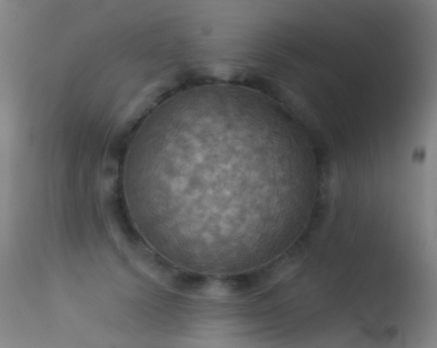 X0000113230656200909171540