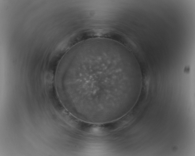 X0000113230657200909171540