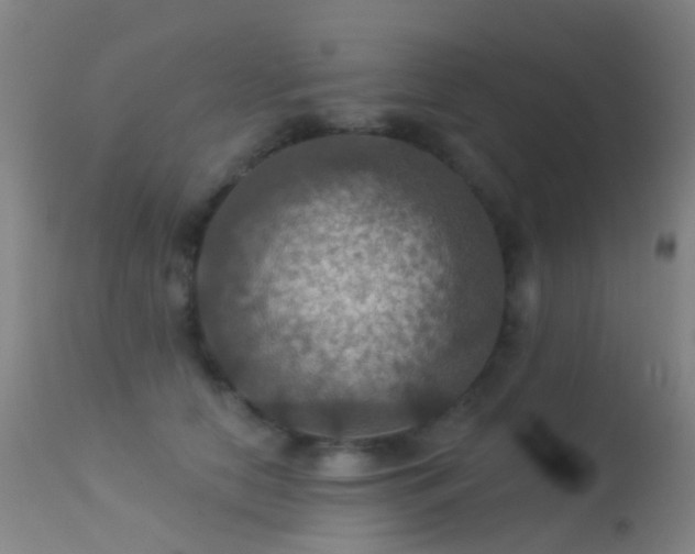 X0000113230658200909171540