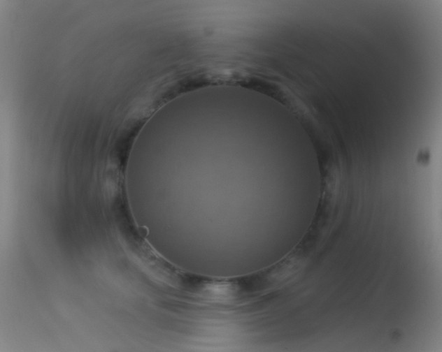 X0000113230659200909171540