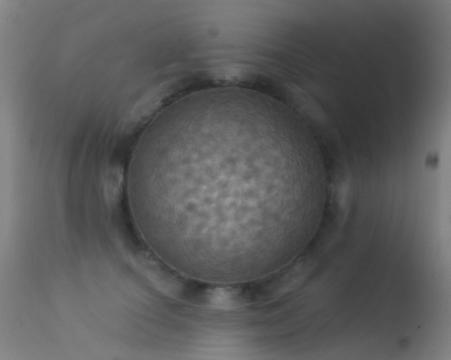 X0000113230660200909171540