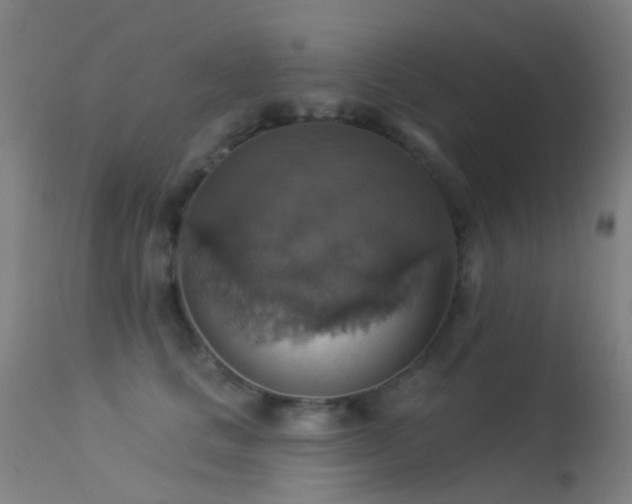 X0000113230661200909171540