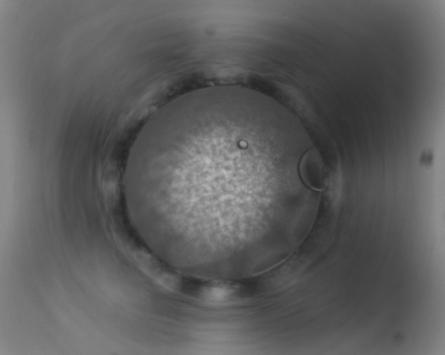 X0000113230662200909171540