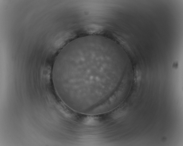 X0000113230664200909171540