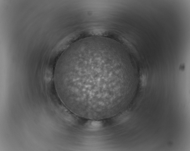 X0000113230665200909171540