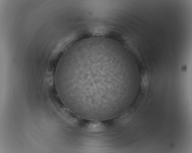 X0000113230666200909171540