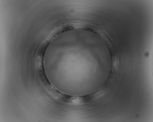 X0000113230667200909171540