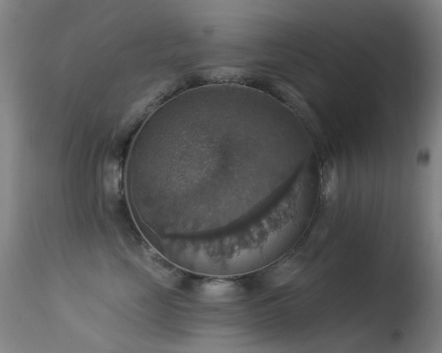 X0000113230669200909171540