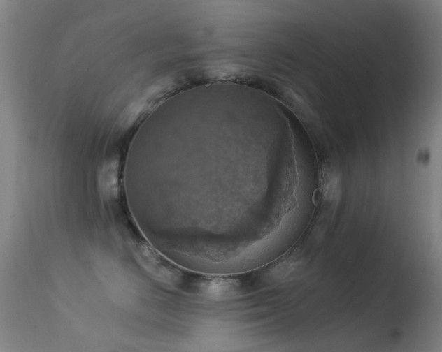 X0000113230670200909171540