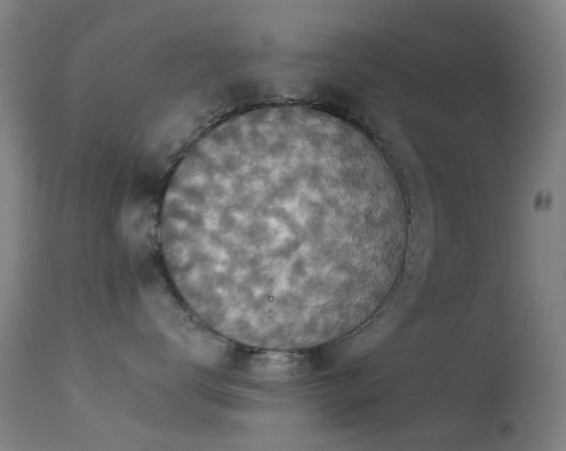 X0000113230672200909171540