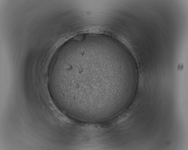 X0000113230673200909171539