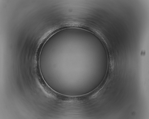 X0000113230674200909171539