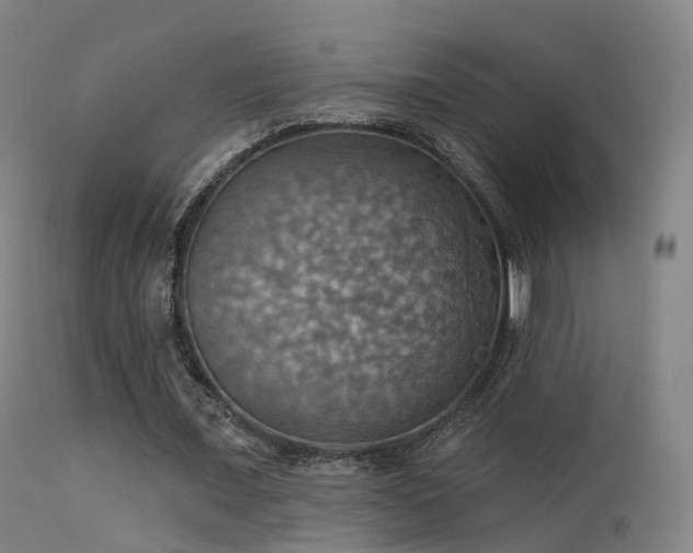 X0000113230675200909171539