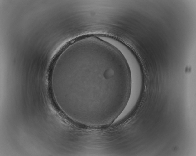 X0000113230676200909171539