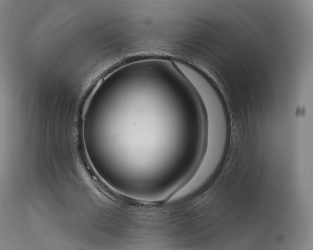 X0000113230677200909171539