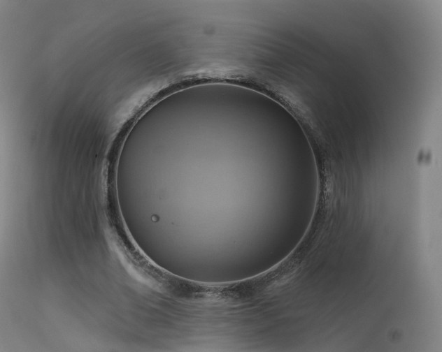 X0000113230678200909171539