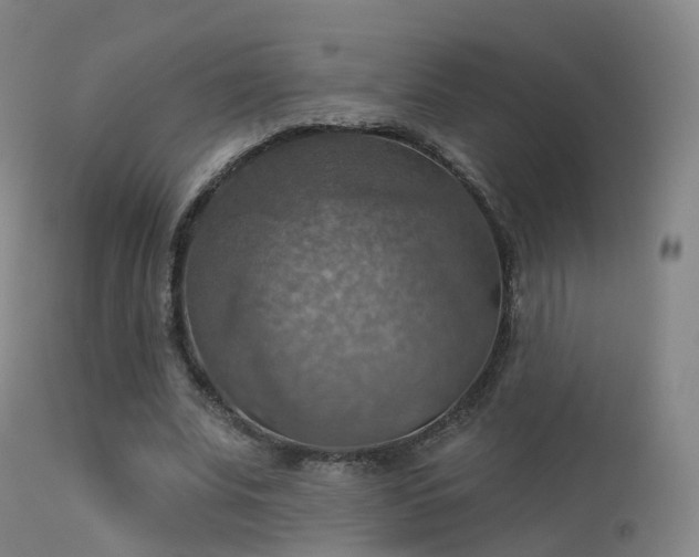 X0000113230679200909171539