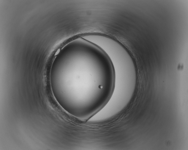 X0000113230680200909171539