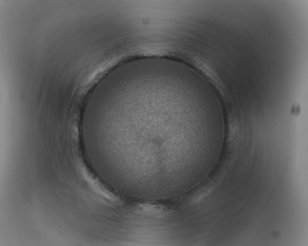 X0000113230681200909171539