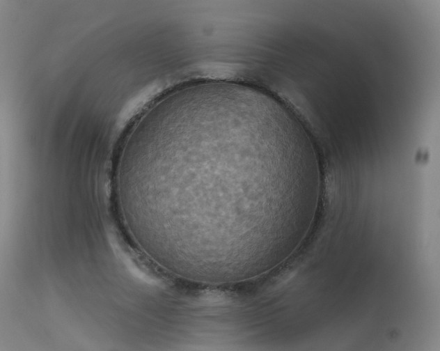 X0000113230682200909171539