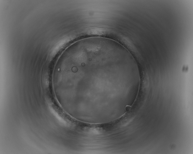 X0000113230683200909171539