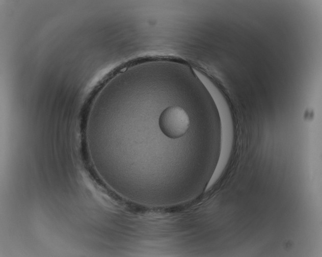 X0000113230684200909171539