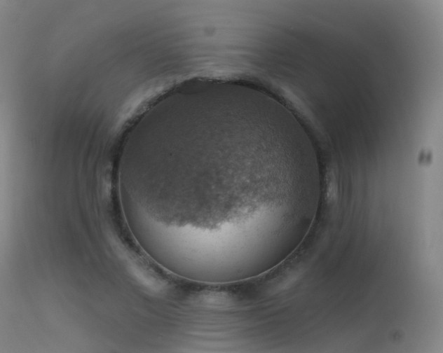 X0000113230685200909171539