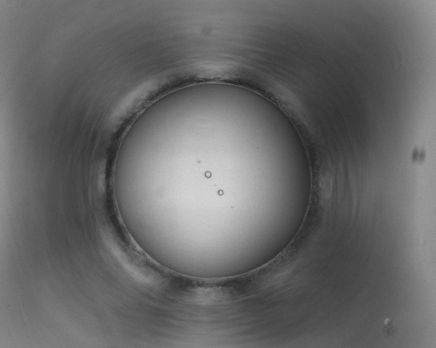 X0000113230686200909171539