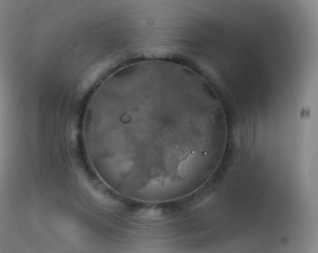 X0000113230687200909171539