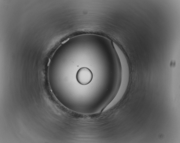 X0000113230688200909171539