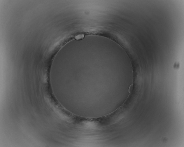 X0000113230689200909171539