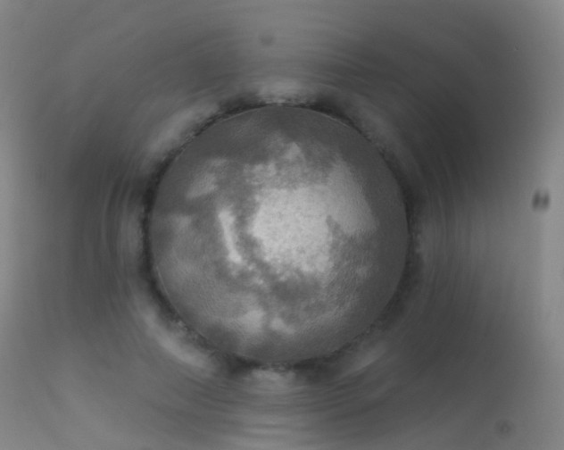 X0000113230690200909171539