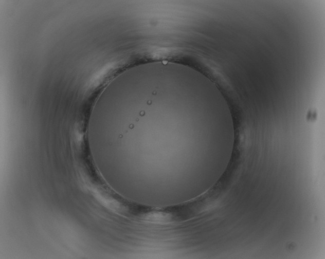 X0000113230691200909171539