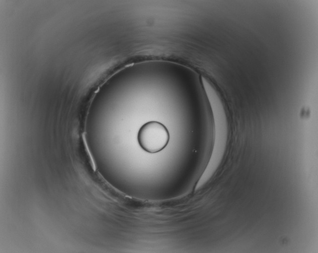 X0000113230692200909171539