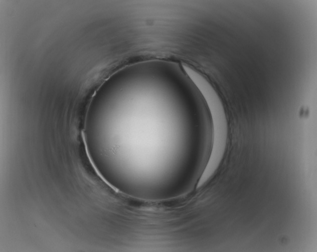 X0000113230693200909171539