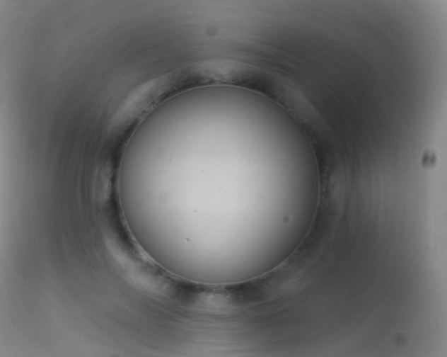 X0000113230694200909171539