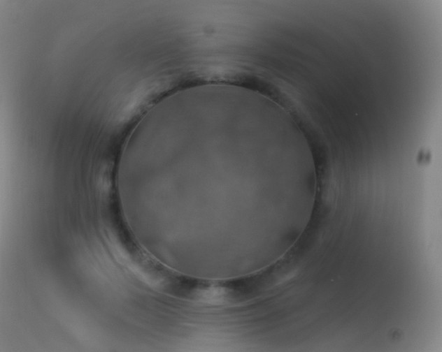 X0000113230695200909171539