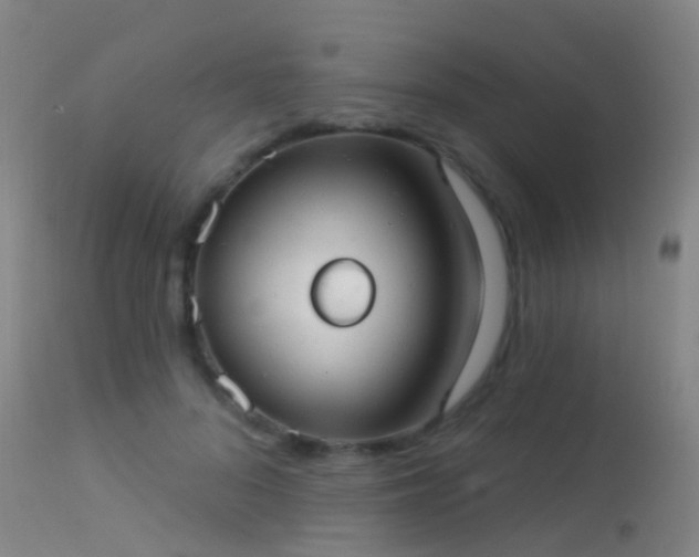 X0000113230696200909171539