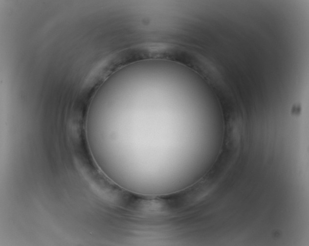 X0000113230698200909171539