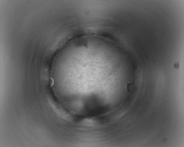 X0000113230699200909171539