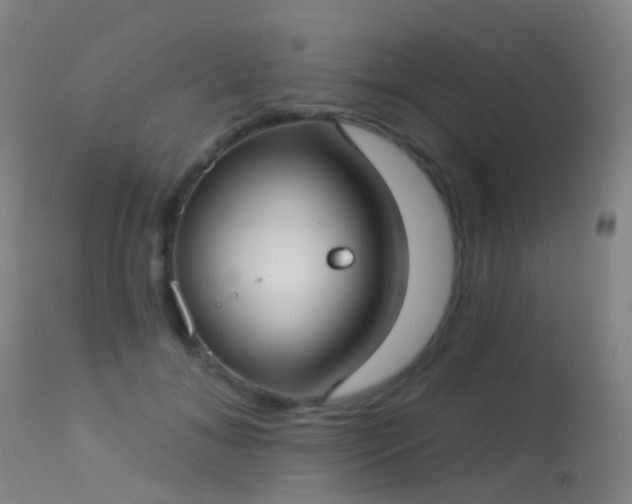 X0000113230700200909171539