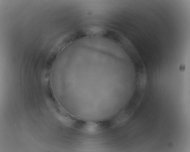 X0000113230701200909171539