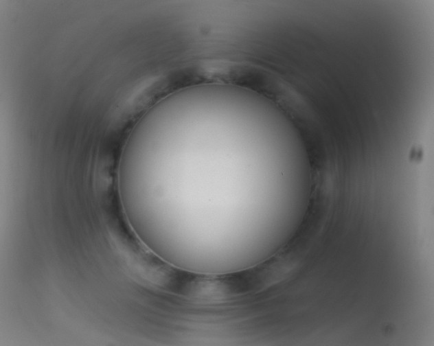 X0000113230702200909171539